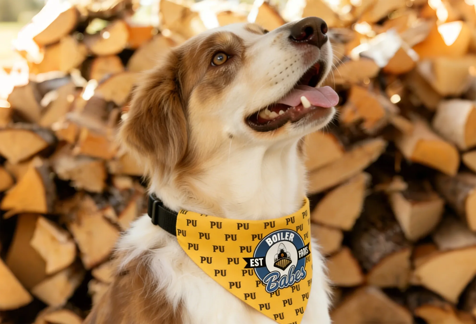Through Collar Dog Bandanas